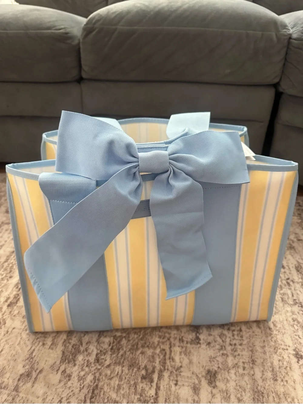 Case-Mate Blue & Yellow “Striped Cabana” Tote Organizer. NEW WITH TAGS